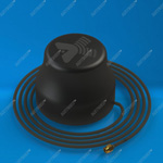 Antex ������������� : Magnita-1